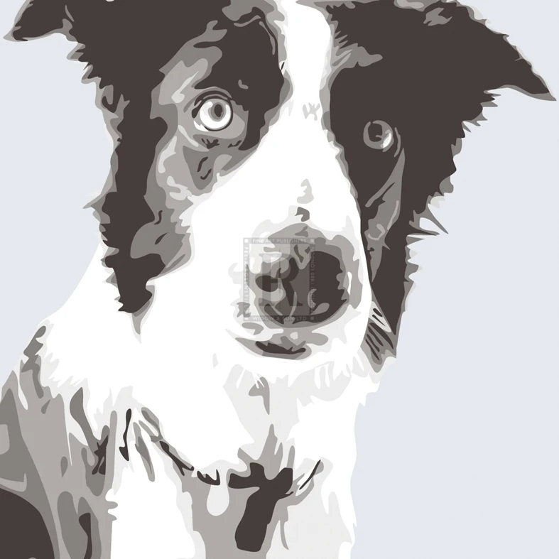 Печать плаката Collie от Emily Burrowes (20x20)|Таблички и знаки| |