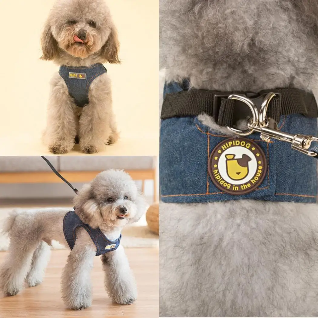Креативный Регулируемый уличный джинсовый жилет для домашних животных синий