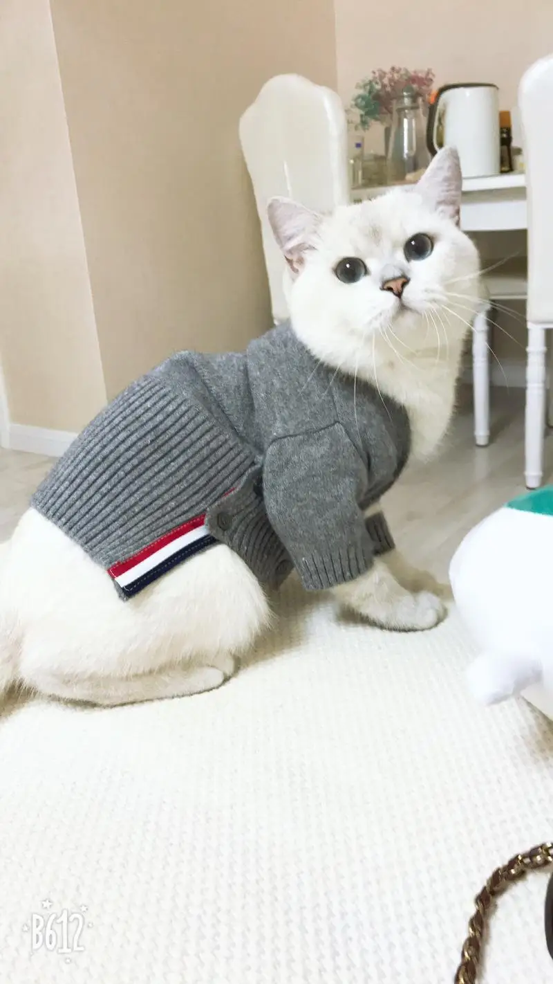 Свитер с котом куртка для отдыха модный дизайн вязаный кардиган классический