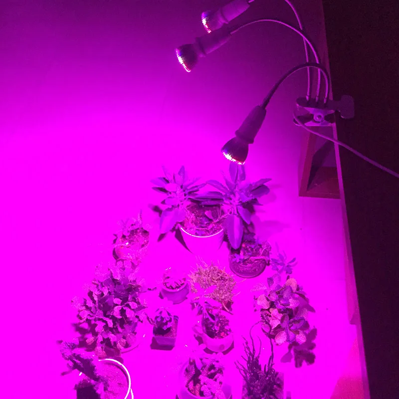 

3 HEAD led grow light room cultivo plant growing lamp for indoor greenhouse flower tent growbox Hydroponics green house