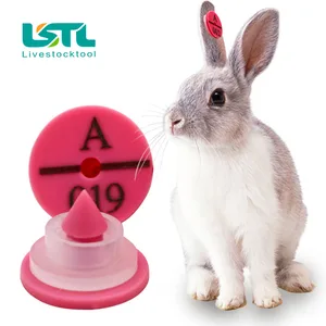 Пластиковая бирка для ушей с надписью 