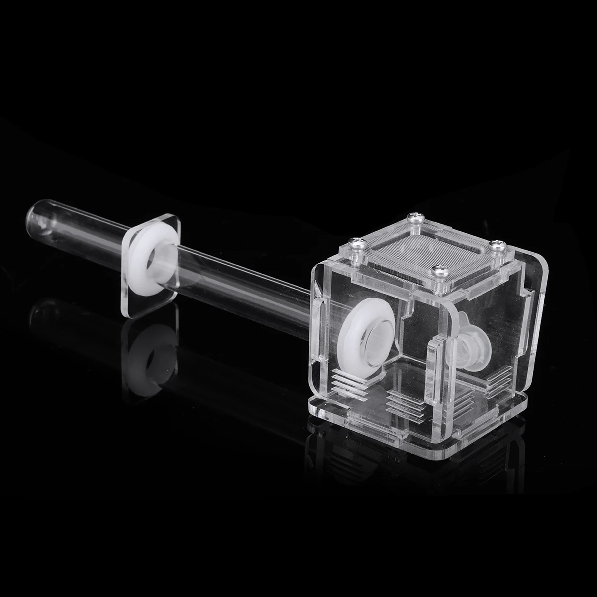 Муравьиное гнездо мини стеклянные трубки с активной зоной гранжа де ормигаз Nid