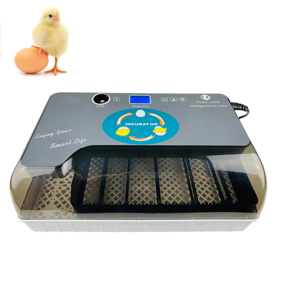 Digital Egg Incubator Automatic Egg Hatcher Automatic Turning 12 Eggs Chicken Birds Quail Brooder Egg Incubator