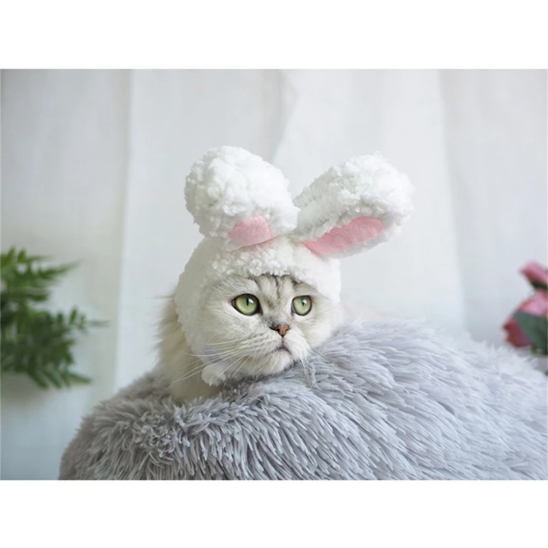 LUDA головной убор для питомца кота кролика Милая шапка собаки с заячьими ушками