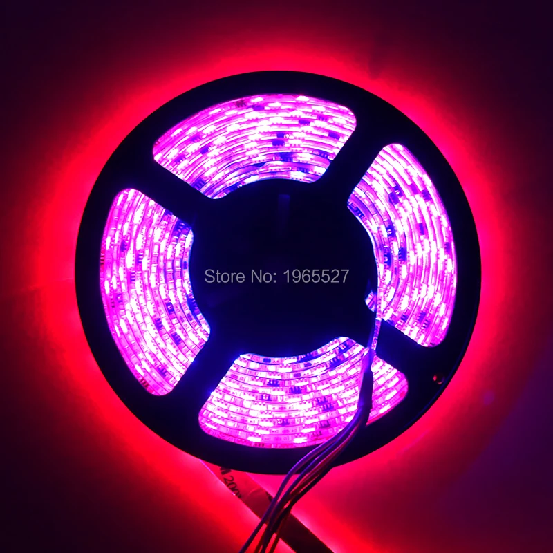 12 в 60 светодисветодиодный s/m WS2811 RGB Светодиодная лента Pixel Light TV 5050 SMD 20 пикс./м с шт.