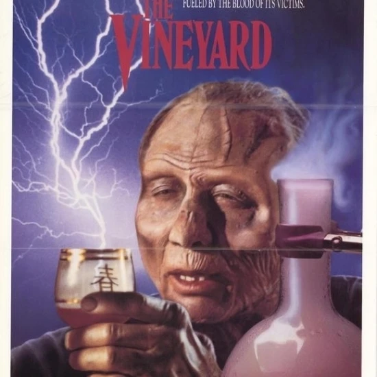 Плакат с изображением виноградника (11x17)|Таблички и знаки| |