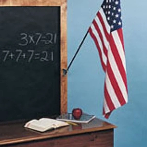 ANNIN & COMPANY ANN042800 U.S. CLASSROOM FLAGS-12X18 | Дом и сад