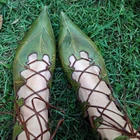 Туфли-гладиаторы женские на плоской подошве, с острым носком, на шнуровке