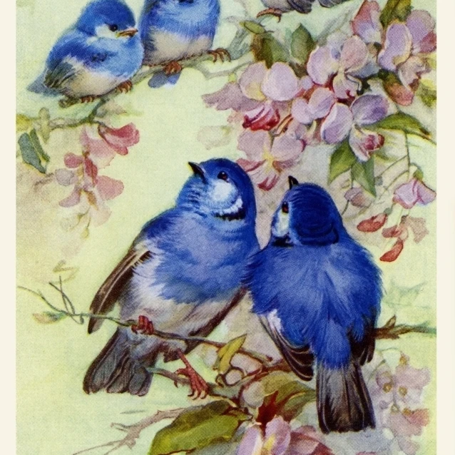 Bluebirds & Blossoms постер печать Мэри Эванс Питер Dawn Cope Collection (18X24)|Таблички и знаки| |