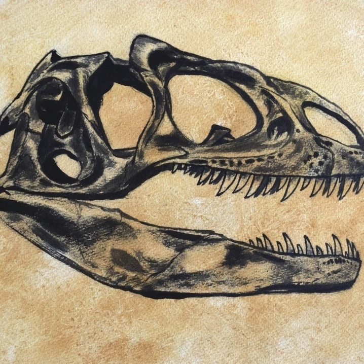 Allosaurus череп динозавра постер печать (16x12)|Таблички и знаки| |