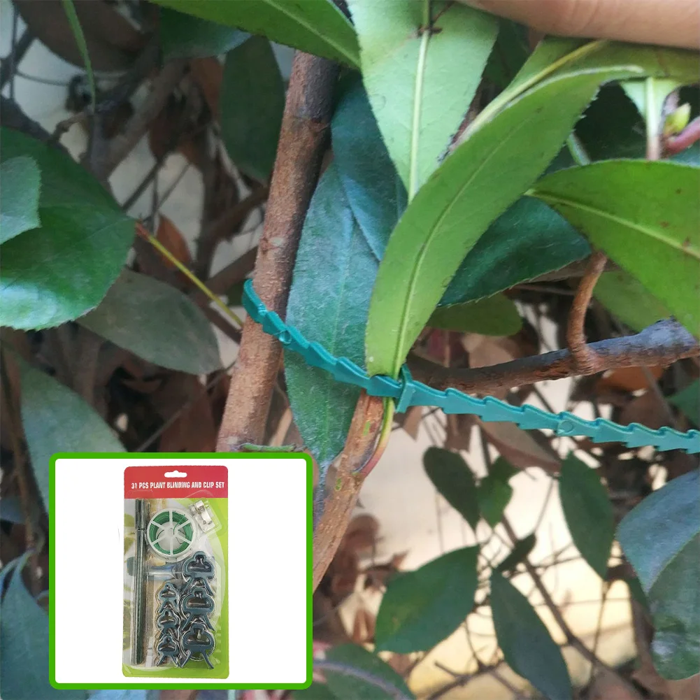 31 шт./компл. завод связывания зажимы набор сельского хозяйства прививочные