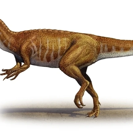 Афровенатор abakensis доисторическая Эра плакат с динозавром печати (43x18)|Таблички и