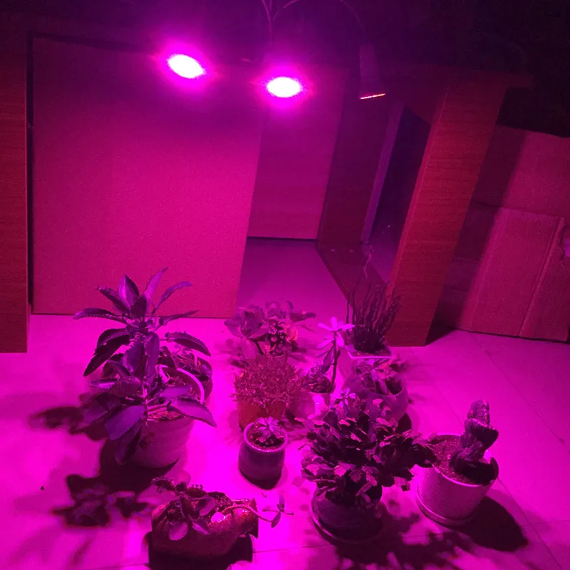 

3 head growing light led plant grow light indoor flower growth tent greenhouse hydro lamp Hydroponics cultivo