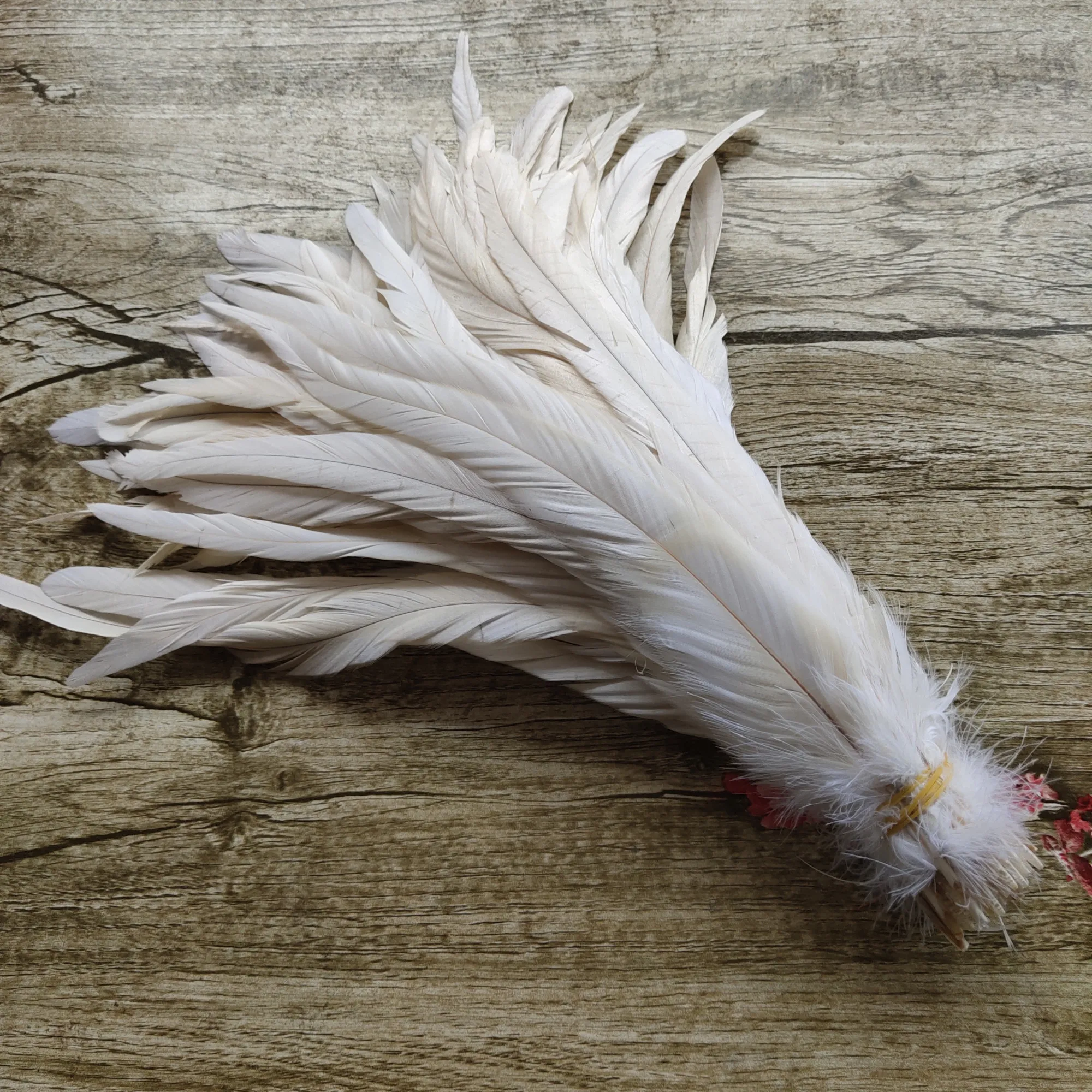 100pcs/lot 12-14 inches / 30-35cm high quality rooster tail feather DIY jewelry decoration art props accessories | Дом и сад