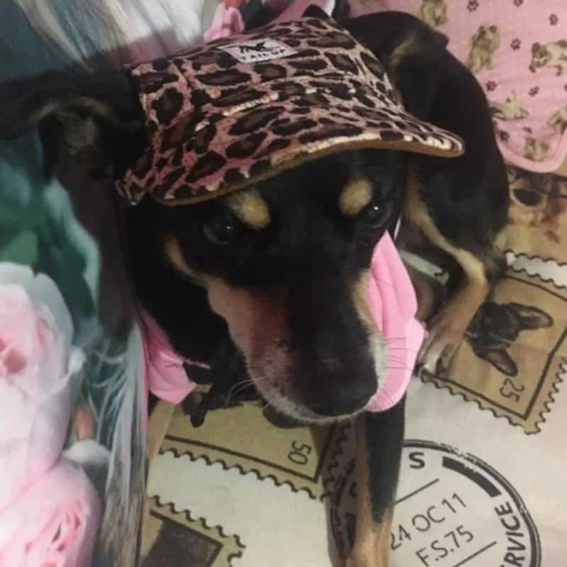 Женская бейсбольная кепка с милым принтом для маленьких собак женская Кепка