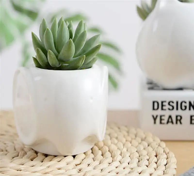 3 шт. мини-горшки для цветов в форме животных цветочный горшок сада небьющиеся