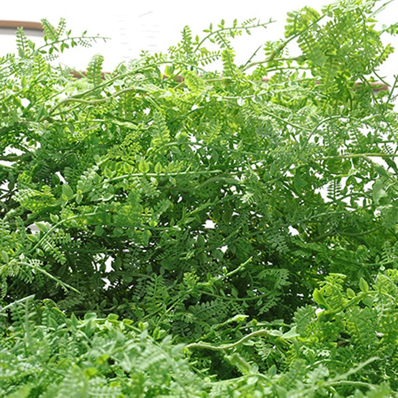 70 см Искусственный Podocarpus лоза ротанг зелень веточка домашний Свадебный декор |
