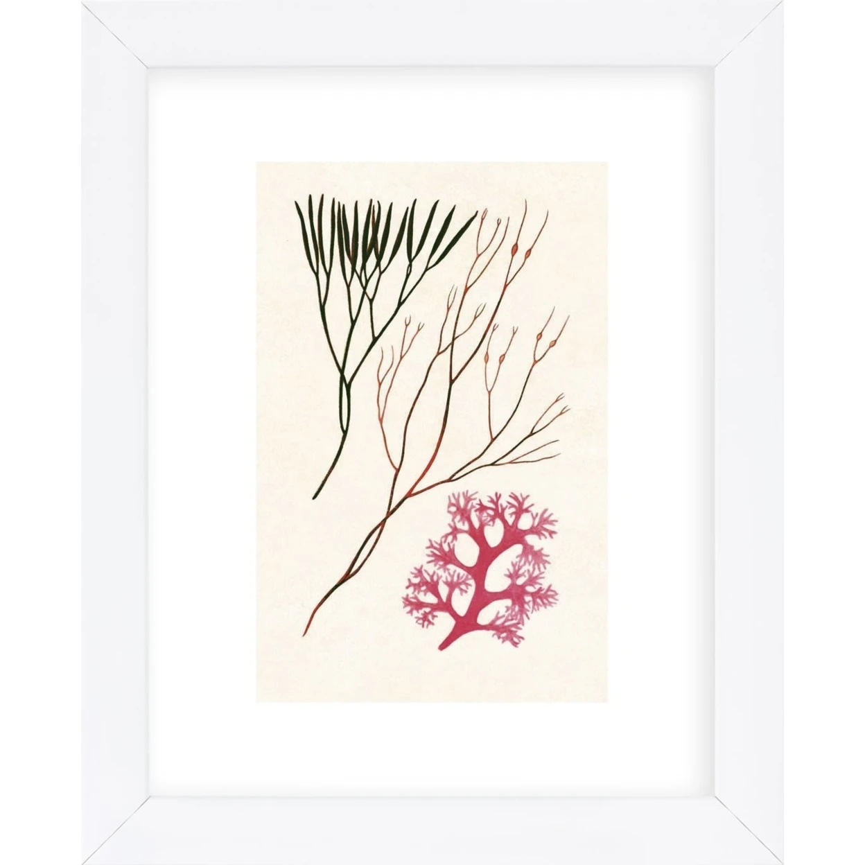 Algae 24 (Framed) | Дом и сад