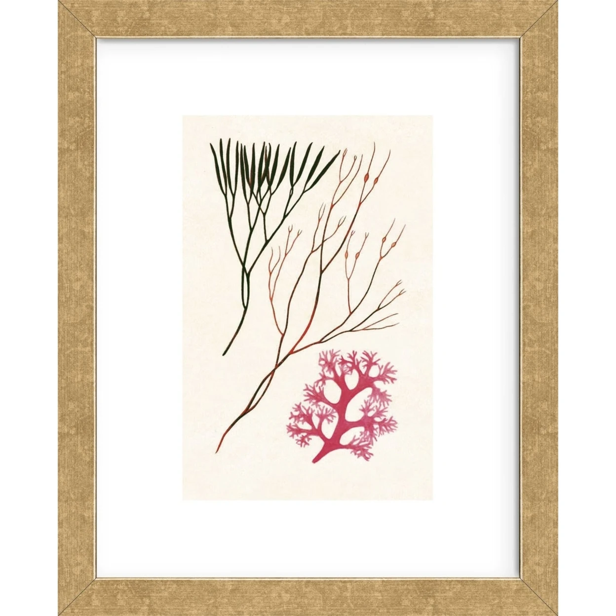 Algae 24 (Framed) | Дом и сад