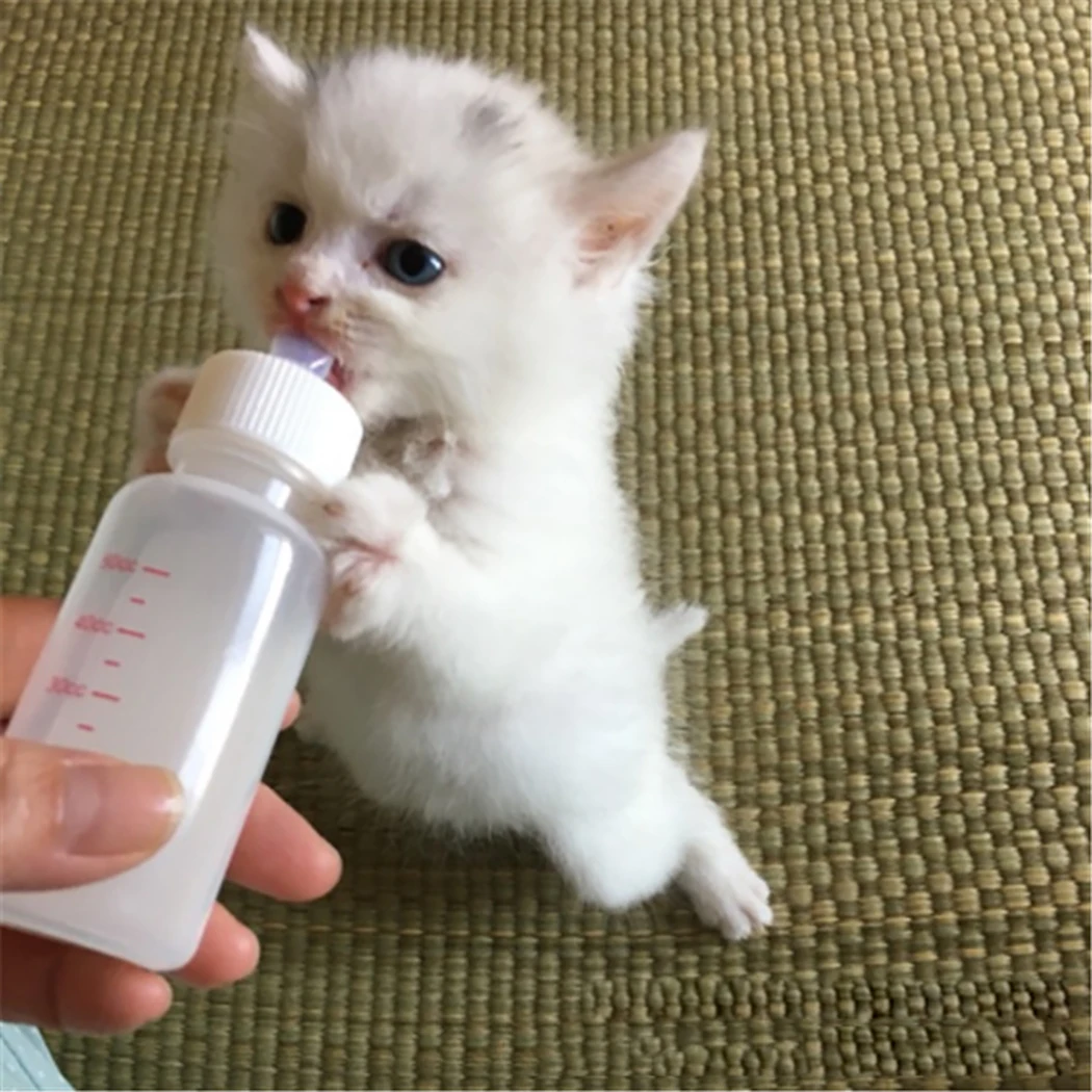 

50ML Puppy Kitten Feeding Bottle Set Pet Dog Cat Bady Nursing Water Milk Feeder with Cleaning Brush Newborn Cat Drinking Bottle