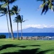 Пальмы на побережье Ritz Carlton Hotel Kapalua Molokai Maui Гавайи США постер печать (36x12) | Дом и сад