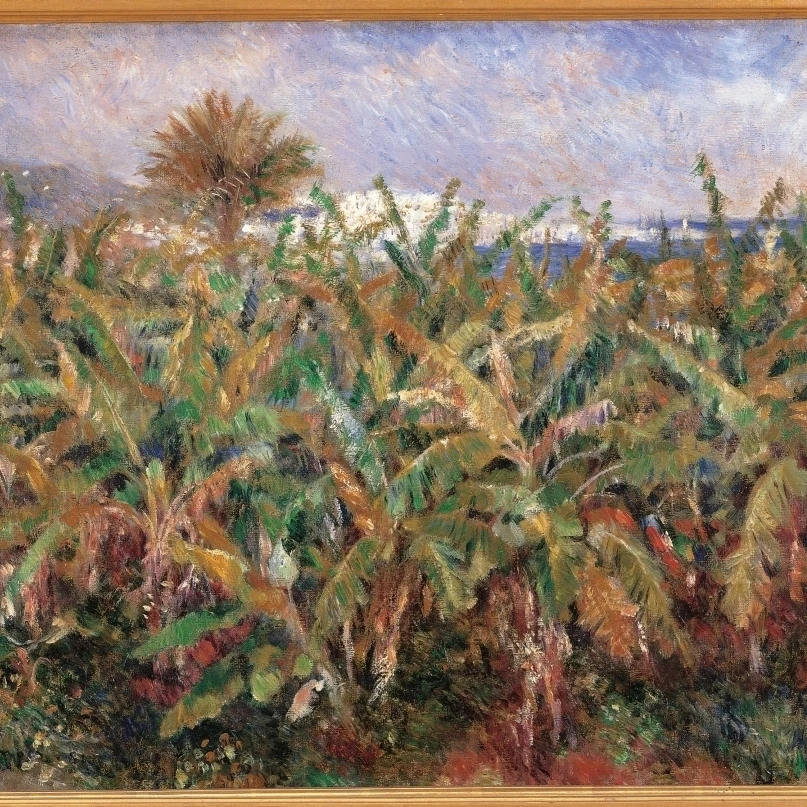 Поле банан картина с деревьями печати (36x24)|Таблички и знаки| |