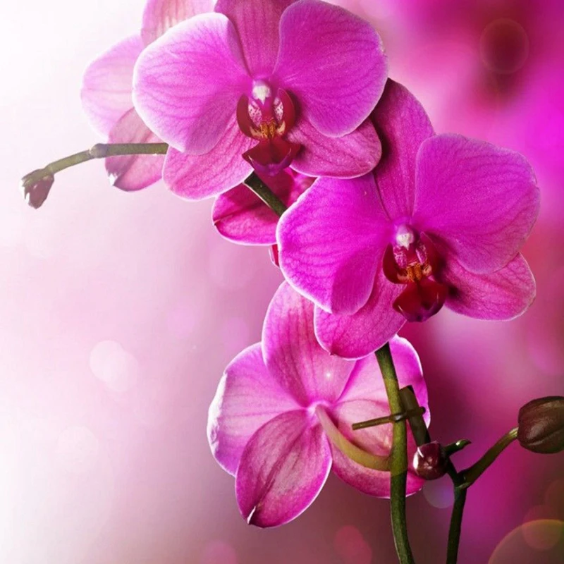 Новинка 100% Полная площадь Алмазная Вышивка крестом Роза красная Магнолия 3D