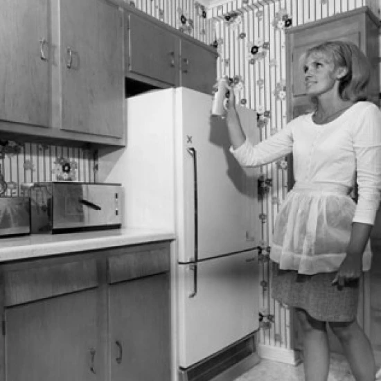 Низкий угол обзора молодой женщины распыления аэрозоля может плакат печать (18x24) |