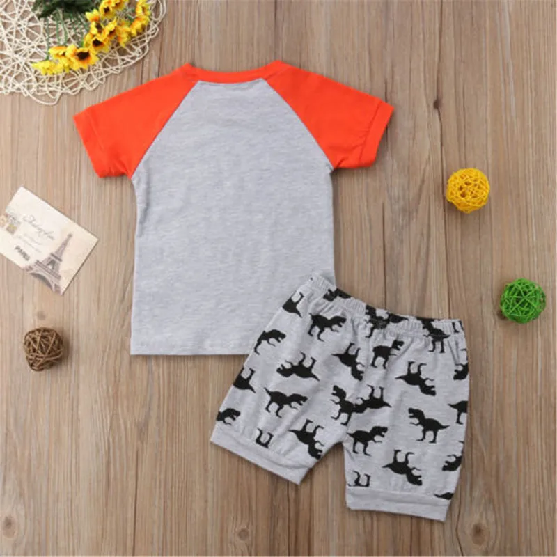 1-6T 2019 New Toddler Infant Kids Baby Boys Clothes Set Gray Dinosaur Printing Tops T-Shirt Short Pants 2pcs Casual Outfit Suits |