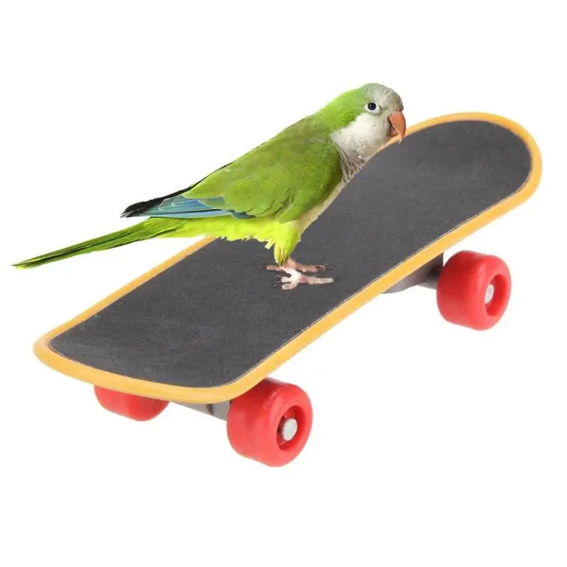 1pc Mini Training Playing Skateboarding Birds Interaction Toys Parrots Skateboard Acrobatics Funny Parakeet Pet Supplies | Дом и сад