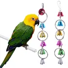 Красочные игрушки для попугаев, металлическое кольцо, колокольчик, подвесная клетка для белки, попугаев, аксессуары для домашних животных