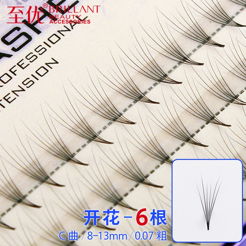 

BRILLANT 6D Bloom Grafting False Eyelashes Shop Single Beautiful Cilia Division Single Cluster Mink Plant 6 P 0.07 Coarse