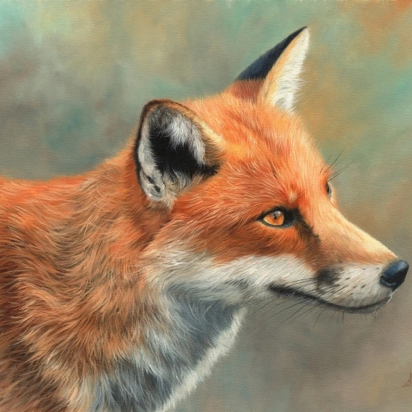 Fox Close Up плакат печать Дэвида стрибблинга (14x11) | Дом и сад