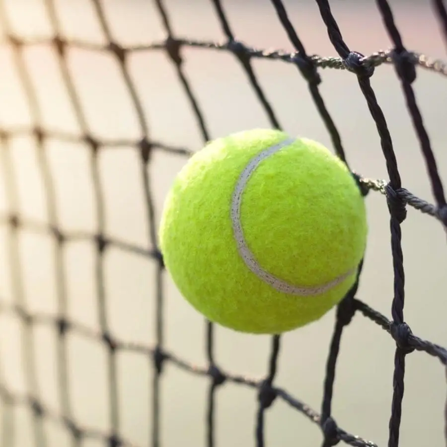 High Quality 3pcs Tennis Balls Sport Elastic Professional Training Practice | Спорт и развлечения