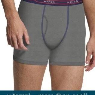 Hanes 00043935796860 мужские представления Прохладный x temp короткие ноги Боксер трусы Ash Pack