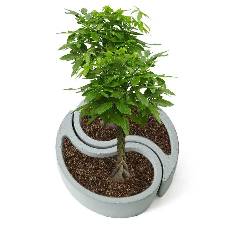 Модель сплетен бетон Настольный композитный цветочный горшок формы силиконовые