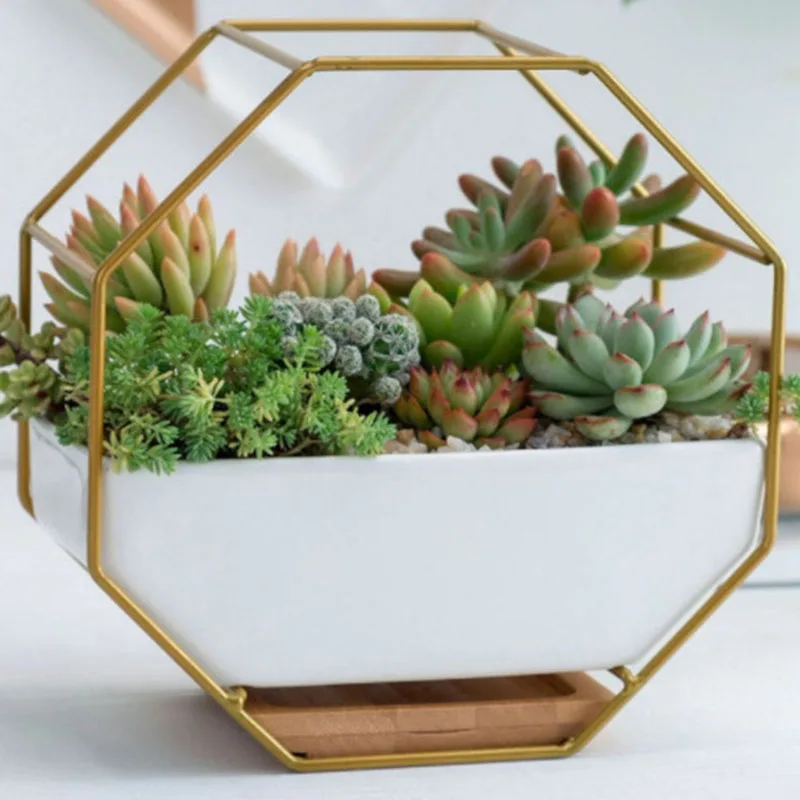 Геометрическая керамика настенный держатель для растений цветочного горшка