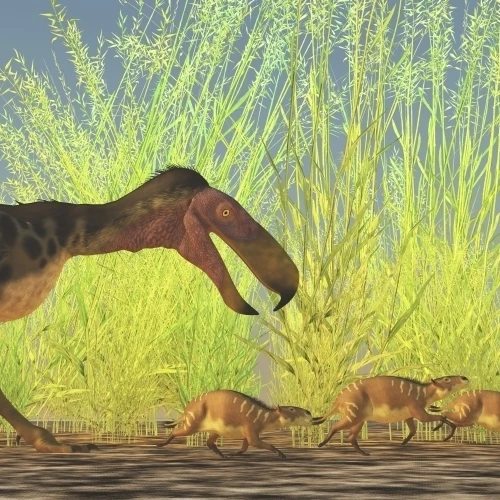 Большой Kalenken flightless terror bird Охота меньше Eurohippus плакат печать (40x20) | Дом и сад