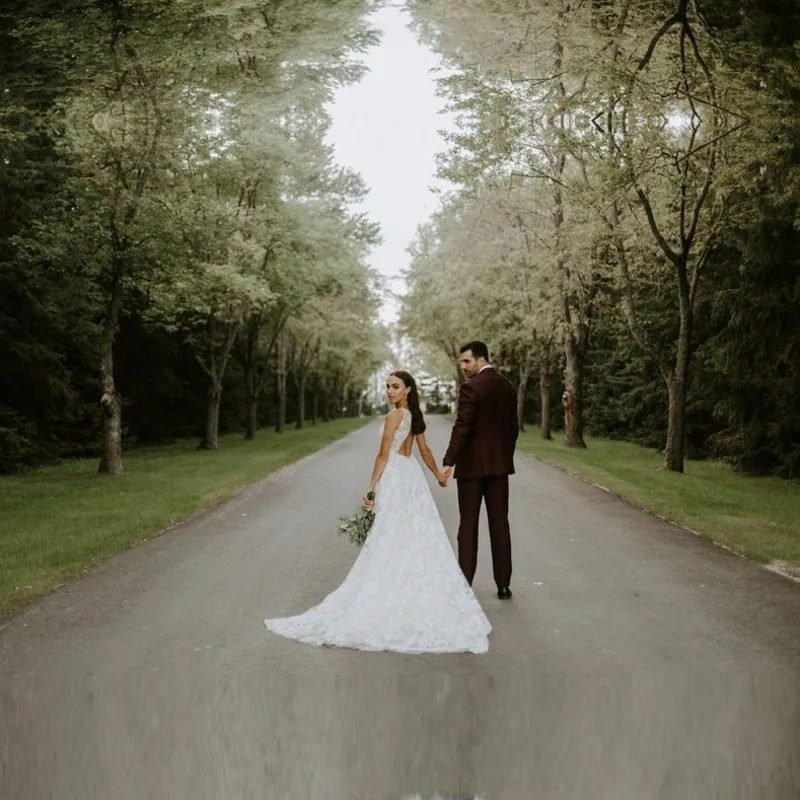 Simple Backless Wedding gowns 2019 V-neck  A Line Lace Bride Dresses Sexy V Neck Wedding Bride gowns