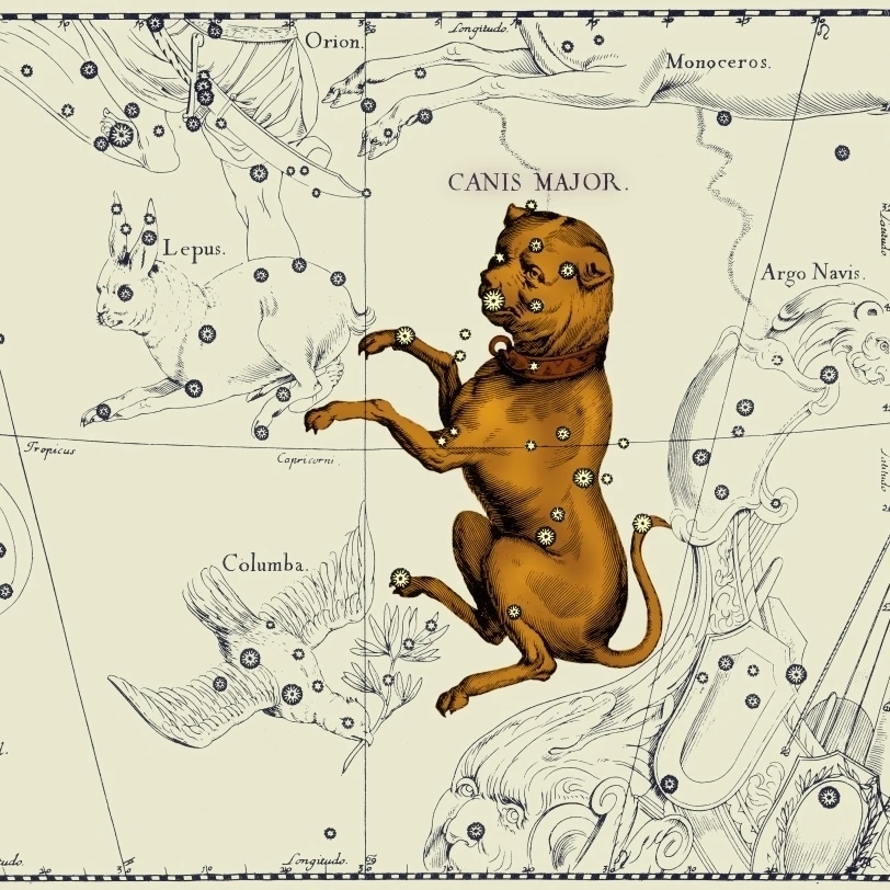Canis Major Constellation 1687 печать плакатов по научному источнику (36x24)|Таблички и знаки| |