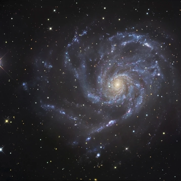 The Pinwheel Galaxy Poster Print (16 x 11) | Дом и сад