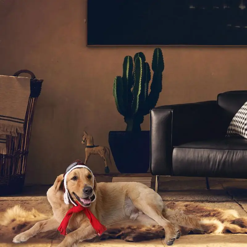 Орнамент с изображением собак Pet авиатор шляпа хлопок сплошной цвет имитация