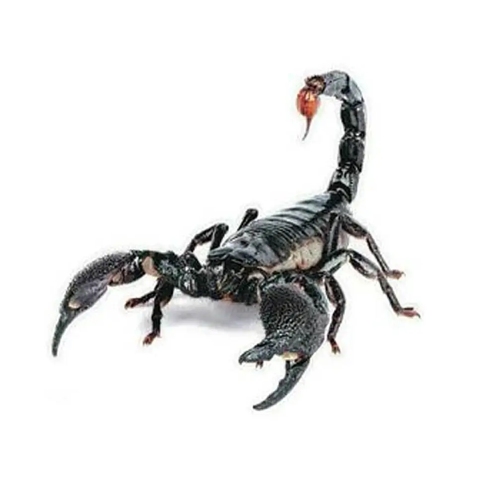 3D стикер для автомобиля мультяшное украшение паук реалистичный персональный