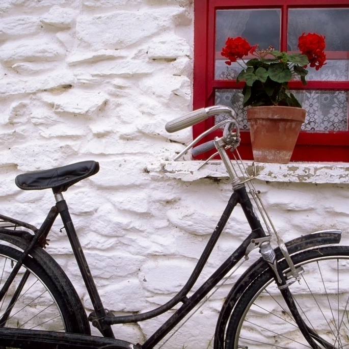 Bunratty фолк парк графство Клэр Ирландия коттедж окна и плакат с велосипедом печати