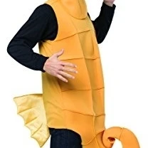 Morris GC6704 Mens Seahorse Costume Brown &amp Orange - One Size |