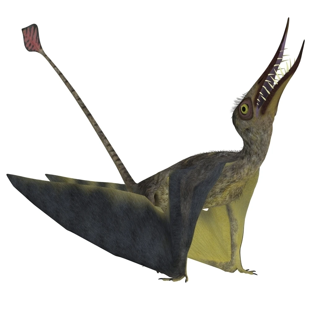 Принт плаката Rhamphorhynchus pterosaur (28x28) | Дом и сад