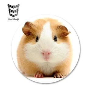 EARLFAMILY, 13 см x 13 см, милая морская свинка, Виниловая наклейка для ноутбука, дорожная наклейка, автомобильная наклейка, водонепроницаемые автомобильные аксессуары