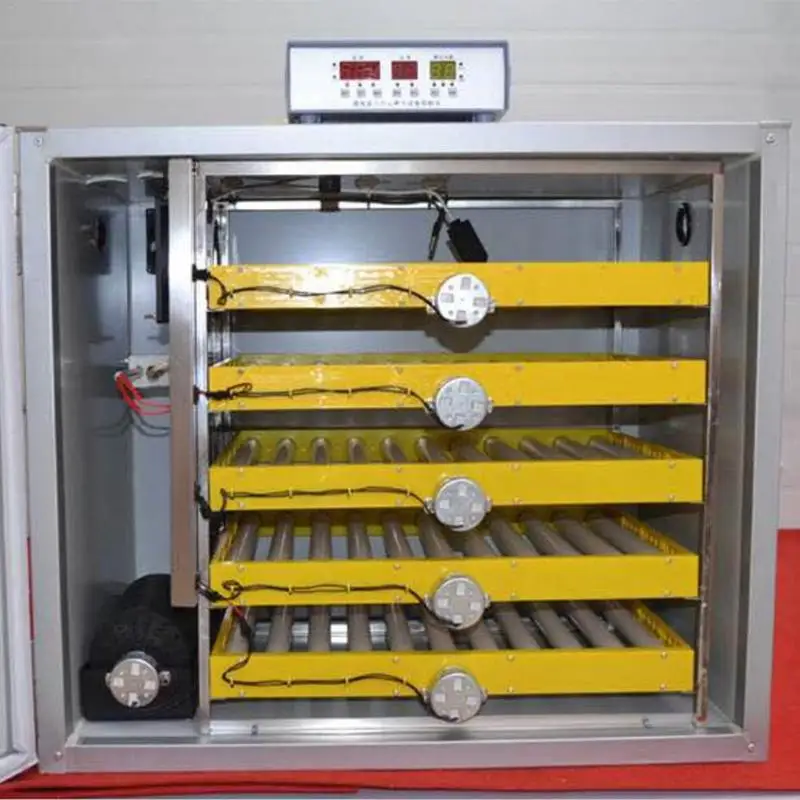 

Motor 1/240 Rpm 220V/110V Turn The Eggs Tray Incubator Accessories Automatic Incubator Egg Turning Motor For Incubator