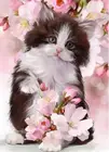 5D алмазная Картина Вышивка крестом милый кот полная Алмазная вышивка кошки цветок Стразы Алмазная мозаика наклейки домашний декор