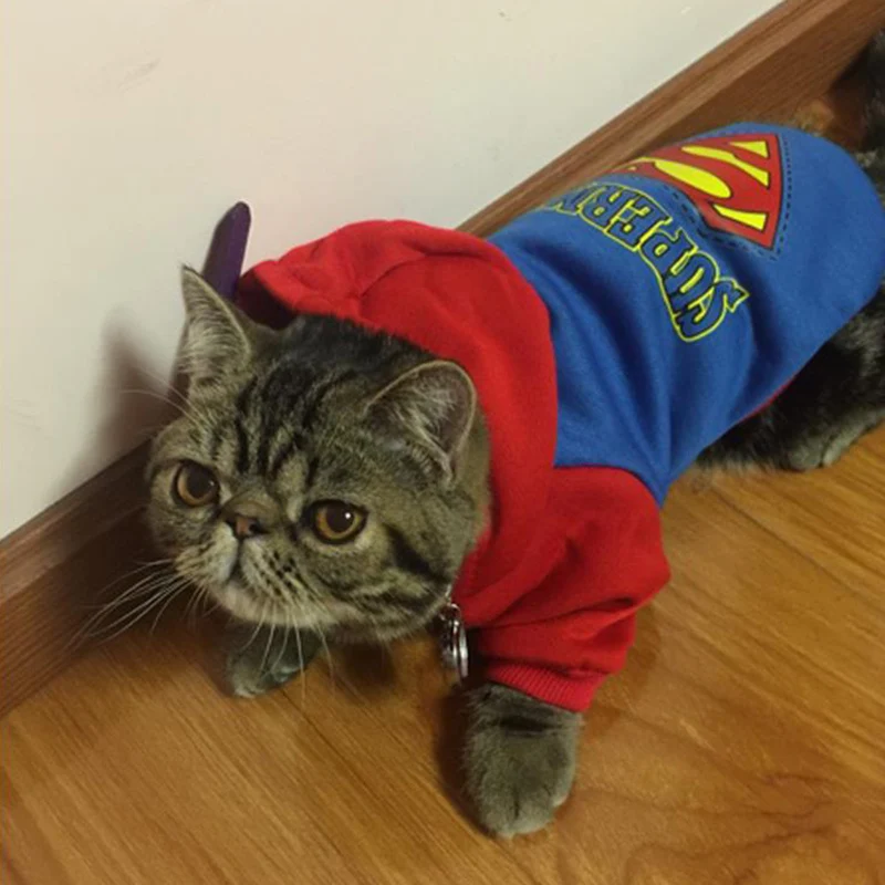 Cat Одежда cat pet для кошек с принтом в виде собак Зима по модели Супермена XS XL| |